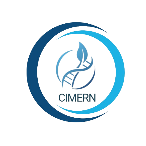 CIMERN 2025