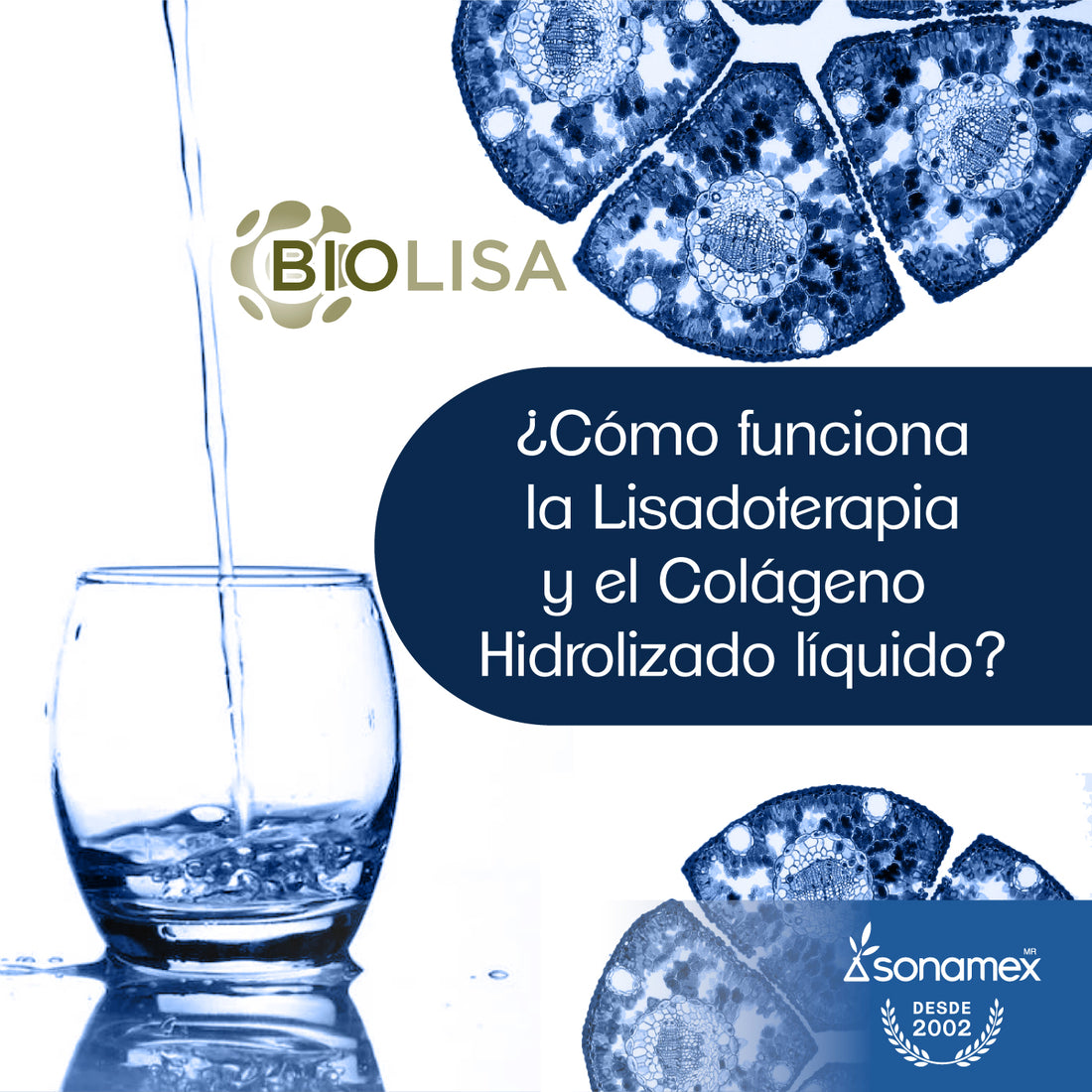 ¿Cómo funciona la Lisadoterapia y el Colágeno Hidrolizado líquido?