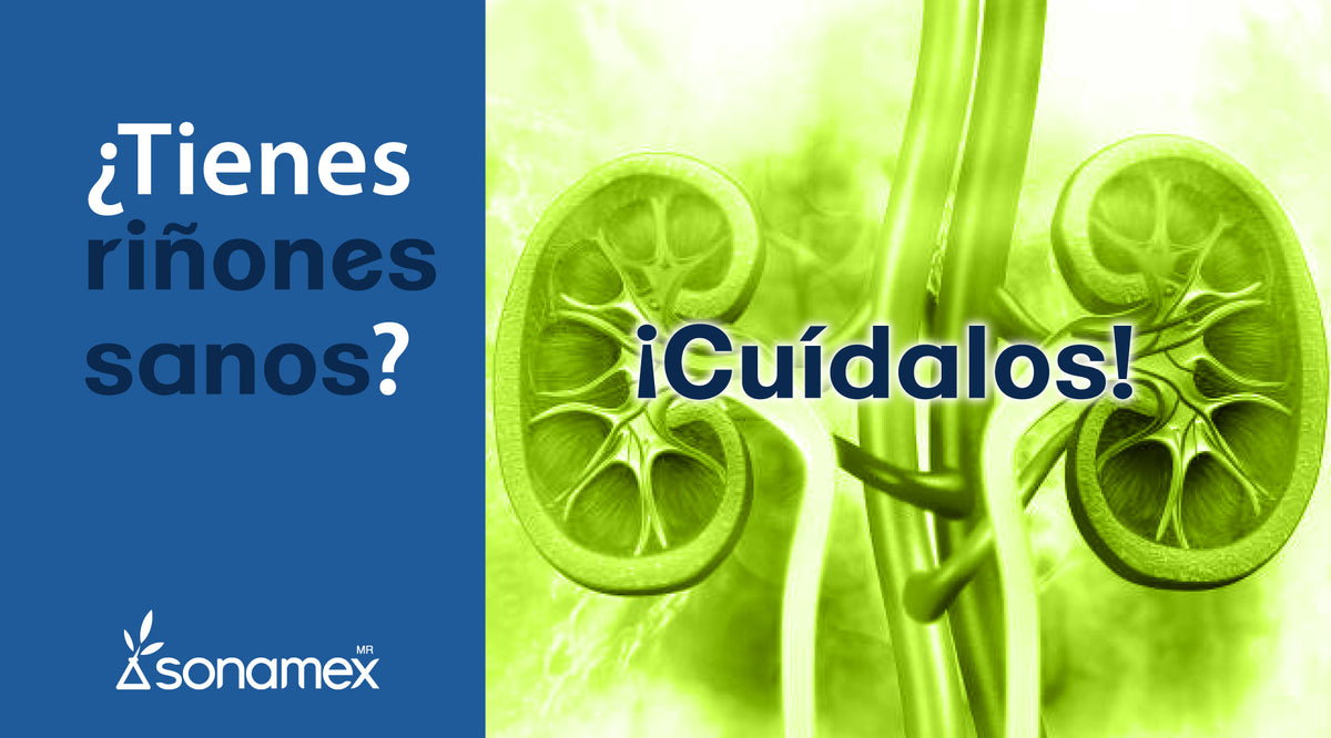 ¿Tienes riñones sanos? ¡Cuídalos! – Sonamex